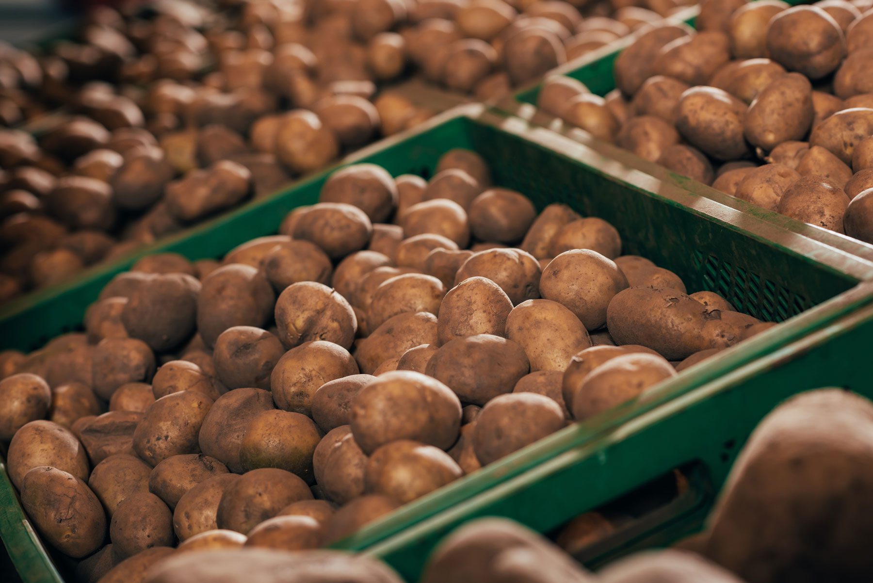 Potato-Crates